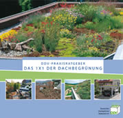 Ratgeber Dachbegrünung