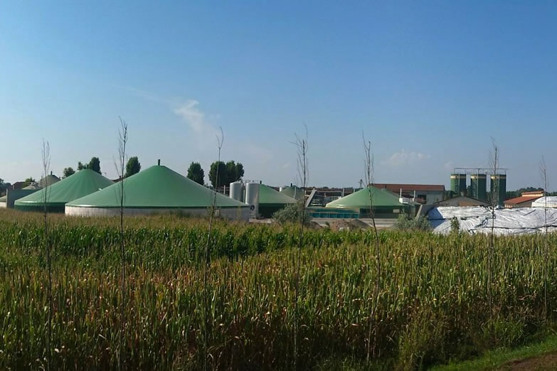 Biogasanlage hinter Maisfeld