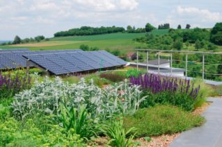 Dachbegrünung und Photovoltaik