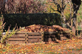 Laubhaufen im Garten